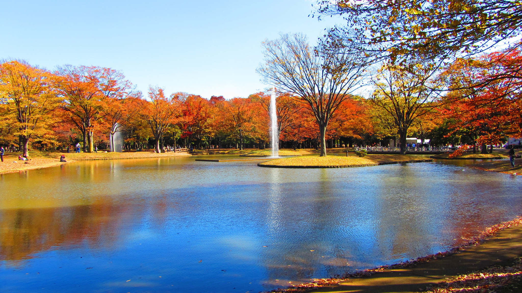 YoYoGi Park.