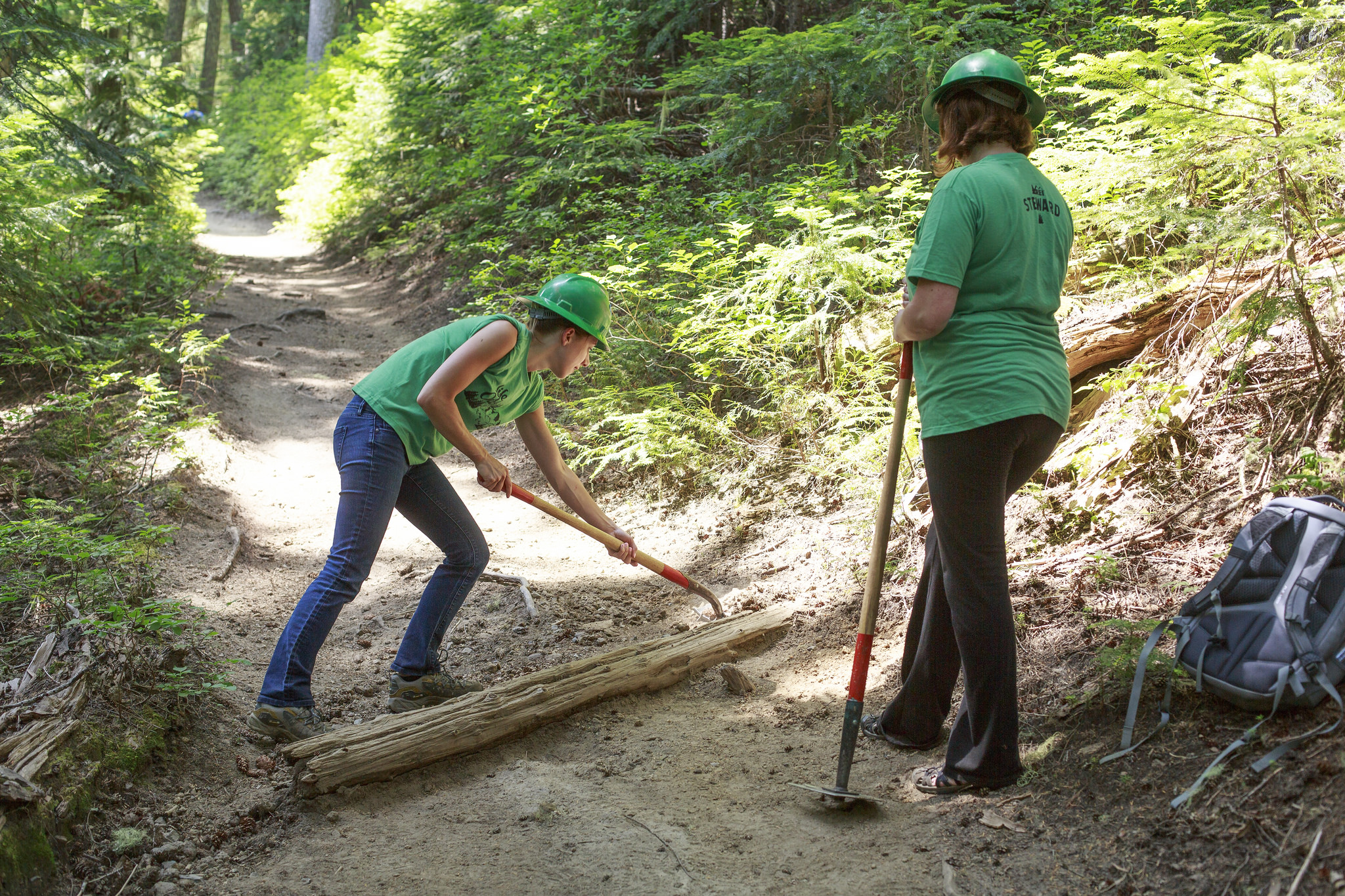Volunteers repairing a trail in Mt. Ranier National Park.