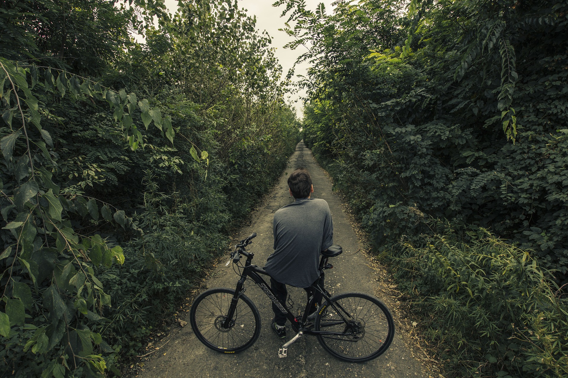 bicycler in forest